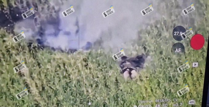 面對俄軍接連不斷的攻勢,烏軍持續針對前線的部隊與軍備發起打擊。圖為盧甘斯克州特羅伊茨科地區試圖造假戰績卻遭「消滅」的俄軍士兵。 圖:翻攝自 @NOELreports X 帳號