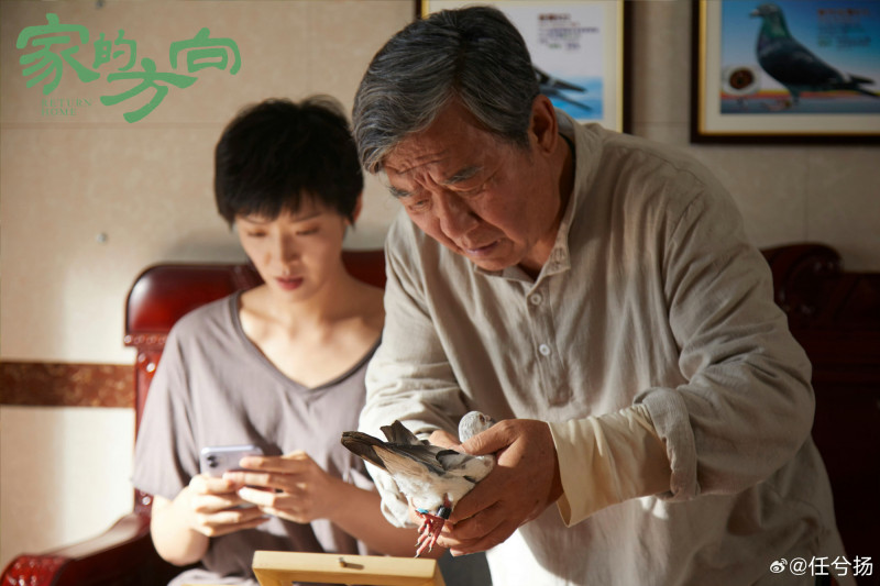 李立群主演統戰片《家的方向》票房僅8萬元，引發台中觀眾反感與批評。   圖：翻攝自微博