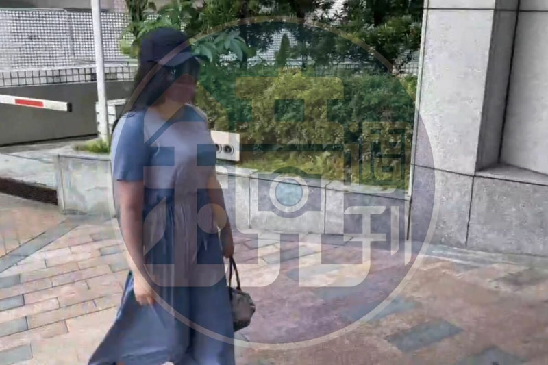 自稱替王文洋生兒子的宋女穿連身洋裝、戴帽子及墨鏡至法院作證，強調兒子是王文洋親骨肉。   圖：鏡傳媒