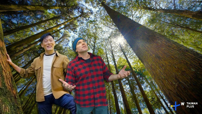 Jason和Trevor探訪全世界最大的原始檜木林，彷彿身在童話王國。   圖：TaiwanPlus提供