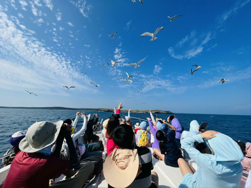 每年5至7月旅客欣賞澎湖燕鷗翱翔天際的最佳時機。   圖：取自澎管處網站