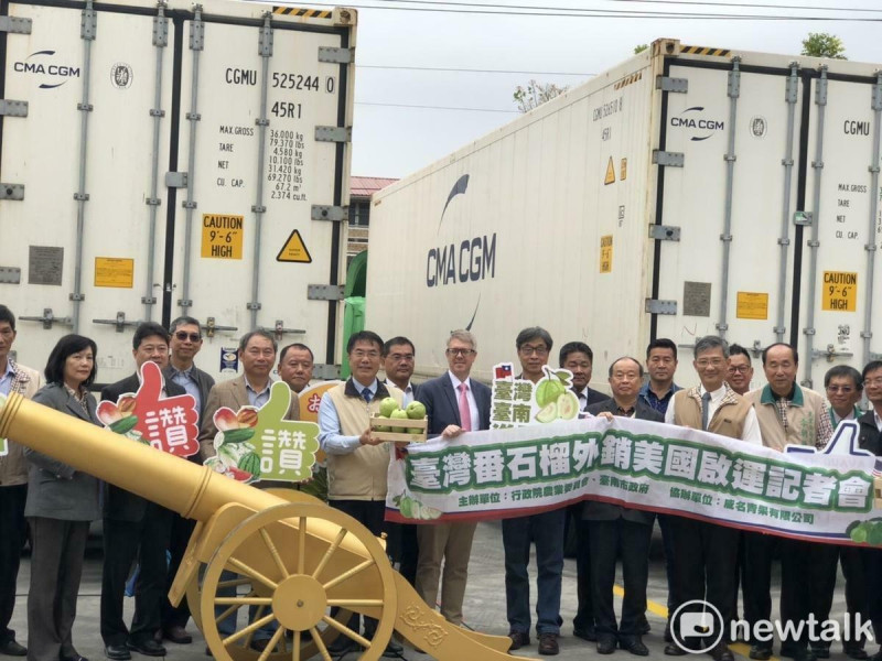 台南的番石榴自2019年起透過冷藏處理技術成功銷往美國，成為全台首櫃出口美國的芭樂來源地，這次再打入歐盟市場，相信對農民朋友有更多的助益。   圖：台南市政府提供