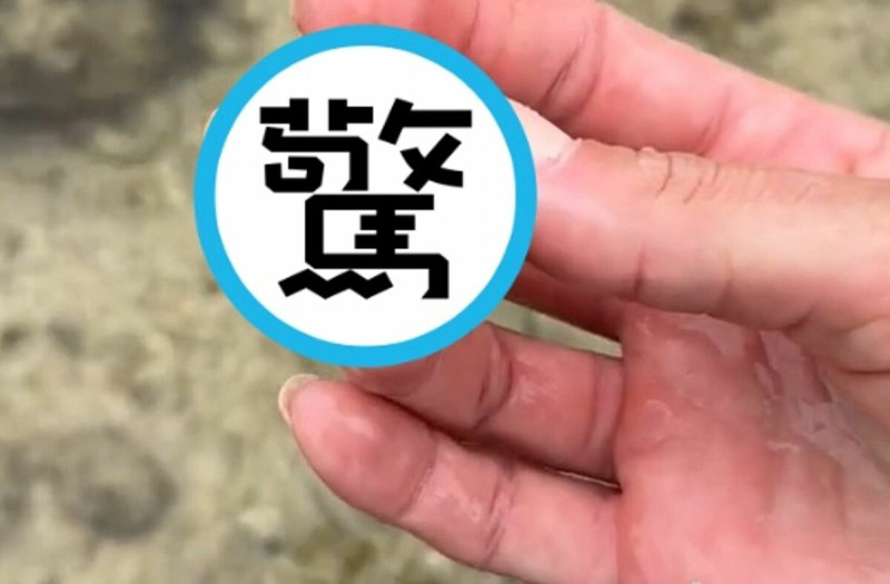 擁有美麗圖案的貝殼，裡面竟藏有劇毒生物，差點釀出大禍。（翻攝自Tiktok @beckyleeinoki）   