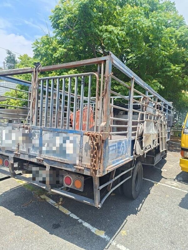 陳姓男子23日駕駛大貨車從苗栗三義載運豬隻準備前往苗栗肉品市場，行經國道1號北上142.8公里銅鑼路段時，其中一隻黑豬自車斗掉落，造成2部車輛為閃避煞停追撞，所幸無人受傷。（警方提供）中央社記者管瑞平傳真  114年6月23日   