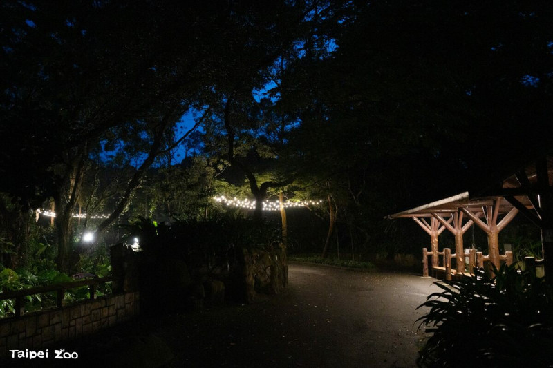 今年自7月5日起，動物園每週六的開放時間由原本的傍晚17時，延長至21時。   圖：台北市立動物園／提供