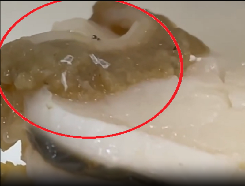 台中家長控爭鮮壽司扇貝藏活蛆，食安處調查中，業者致歉並強調已消毒與強化管理。   圖：翻攝自爆料公社