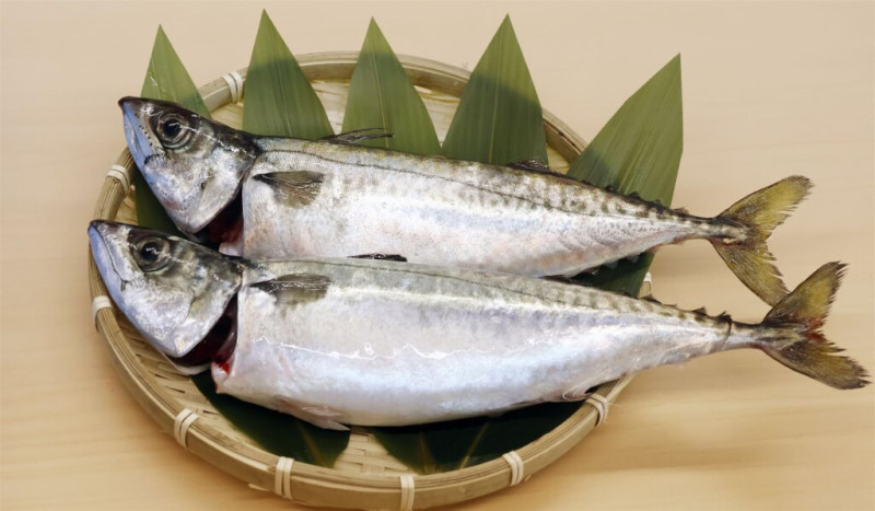 中國海關總署宣布，即日起有條件恢復日本部分地區水產品進口，但福島縣、東京都等10個都縣仍維持進口禁令。圖為褔島產鯖魚。（共同社）   