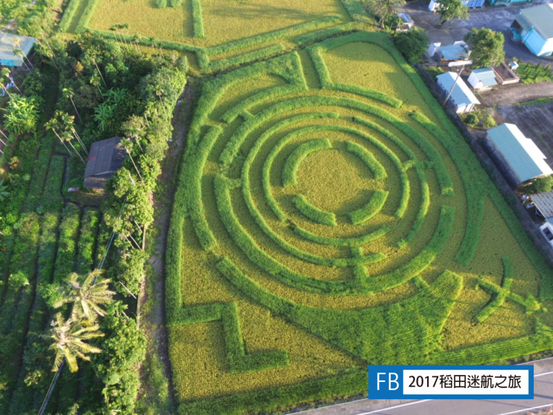 台南市後壁區的稻田迷宮是新興的農村觀光產業，頗受年輕人喜愛。   圖：台南市後壁區公所/提供