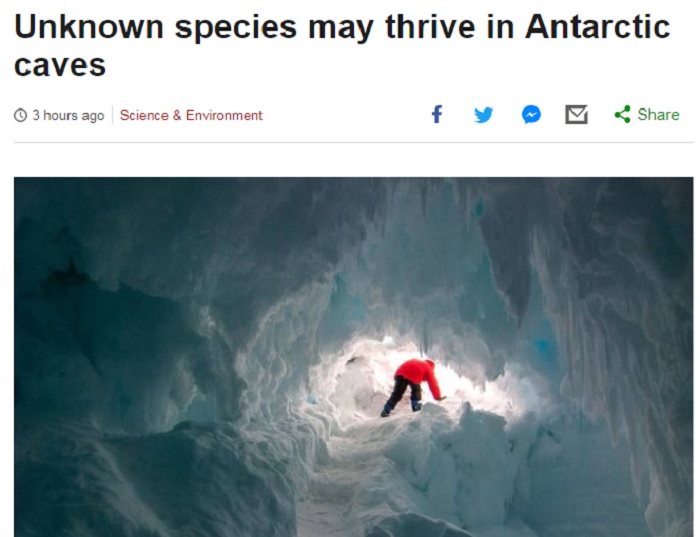 科學家8日表示，南極洲冰河下的溫暖洞穴可能存在一個秘密的動植物世界，包括未知物種在內。   圖：翻攝BBC