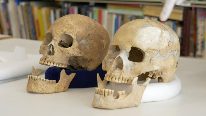 兩具亮島人的骨 骸，透露了他們是早期的海洋民族。   圖:陳香蘭／攝
