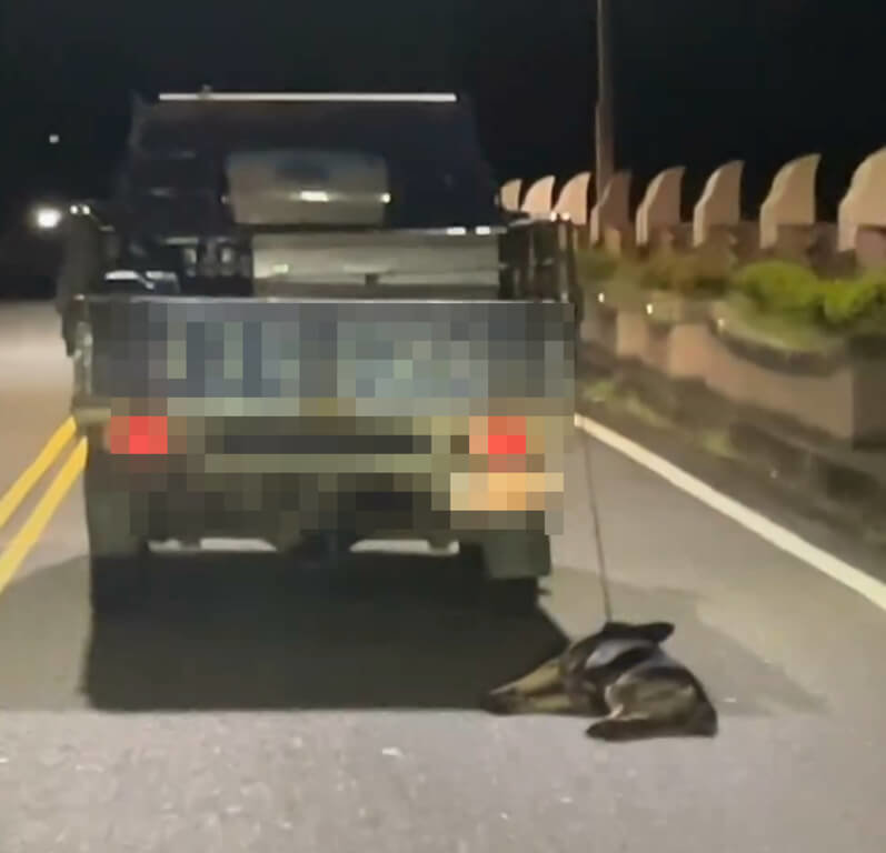 一輛小貨車6月30日晚間行駛在宜蘭縣頭城鎮開蘭陸橋時，車尾一隻黑狗早已癱軟在地沿路遭拖行。飼主莊男7月1日表示，他很愛狗不是故意，不知道狗會跳下車，動植物防疫所將依違反動保法，對莊男開罰。（讀者ken_che_wu提供）中央社記者王朝鈺傳真 114年7月1日   