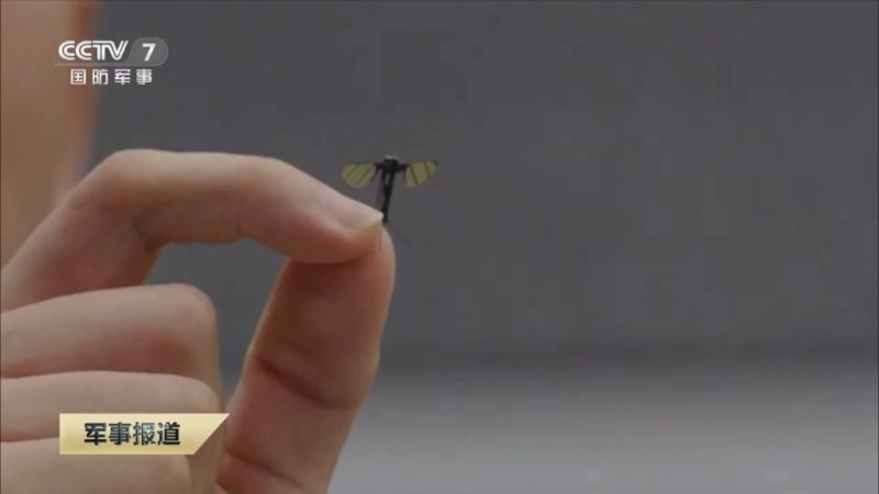 中國央視報導在6月公開了一種比指尖還小的蚊型無人機。   （圖／CCTV影片截圖）