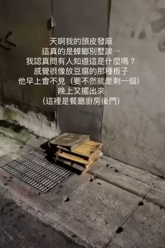 一名網友在Threads分享友人目擊情況,指稱該店後門水溝蓋上鋪有木製板子,疑似是用來處理豆腐的器具,然而現場竟有多隻蟑螂在上面亂爬。 圖:翻攝自Threads @rox_shih