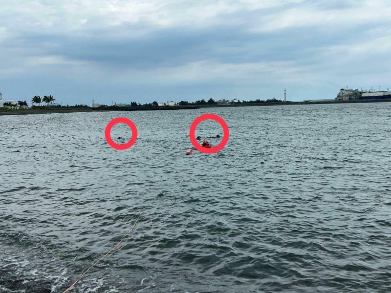 海巡人員下海救援疑似遭到流浪狗攻擊的老翁時，3隻流浪狗還在附近海域徘徊。   圖：海巡署提供