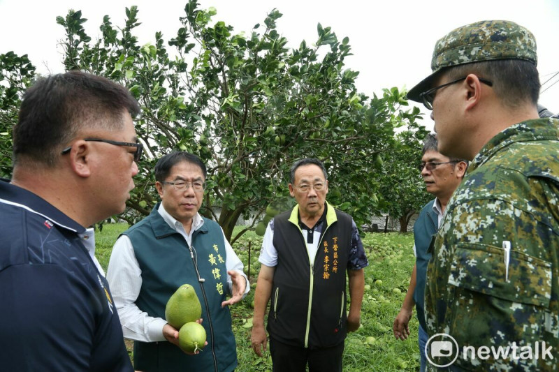 台南市長黃偉哲今日前往麻豆、下營等文旦主產區現地勘災，瞭解果園受損情形。   圖：台南市政府提供