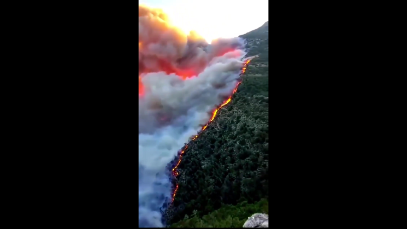 敘利亞拉塔基亞省(Latakia)近日爆發近年來最嚴重的山林野火,自 7 月 4 日起,沿海的賈巴爾土庫曼(Jabal al-Turkman)山區陷入火海,三天內燒毀超過 180 平方公里森林,相當於首都大馬士革面積,並摧毀了該國超過 3% 的森林總量。 圖:翻攝自影片