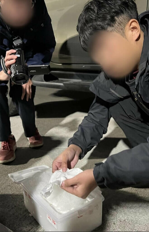 連江地方檢察署起訴台灣有史以來最大宗鸚鵡蛋走私案件，張姓、楊姓主嫌自行或委託共犯，攜帶鸚鵡蛋由台中機場搭乘國內線班機至馬祖或金門，再交由當地漁民以小船出海，於海上交付接應的中國船舶。圖為查緝人員於金門查獲欲輸出的鸚鵡受精卵。（海巡署偵防分署提供）中央社記者潘欣彤傳真  114年7月7日   