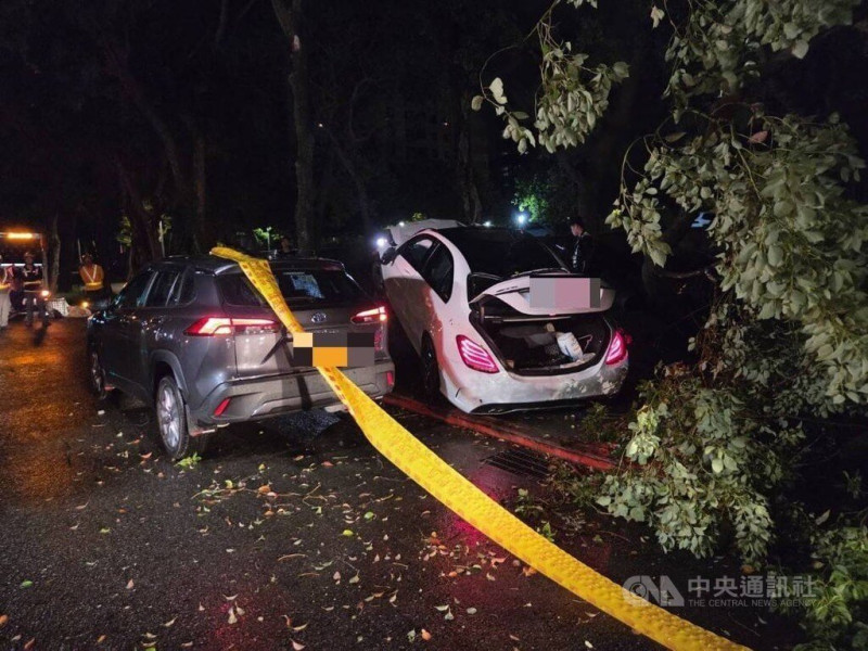 台北市信義區9日凌晨發生死亡車禍，多元計程車司機張男疑在路邊停車下車抽菸，突遭一輛賓士車撞上，警消到場發現張男倒臥草叢，經急救仍傷重不治。（翻攝照片）中央社記者黃麗芸傳真  114年7月9日   