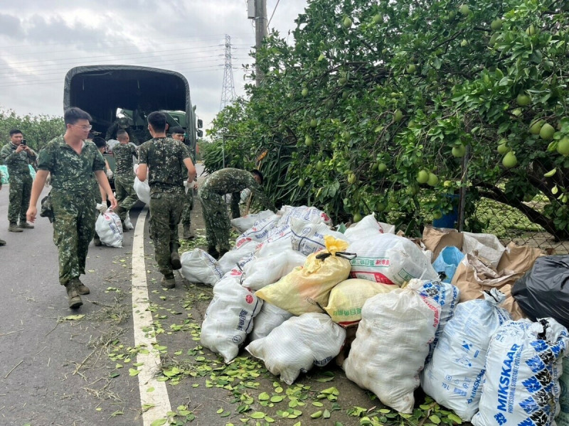 丹娜絲颱風重創南台灣，麻豆區盛產文旦即將進入採收前的關鍵期，卻大量遭受颱風吹落，柚子落果嚴重亟待清運，國軍支援人力160人、10輛軍卡以及清潔壓縮車前進果園清理落果。   圖：台南市政府提供
