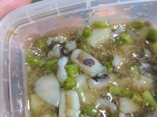 高雄一名男網友購買了一盒芥末章魚，食用後發現章魚腳上有藍色圈圈，疑似吃到有劇毒的「藍環章魚」。   圖：翻攝自爆廢公社