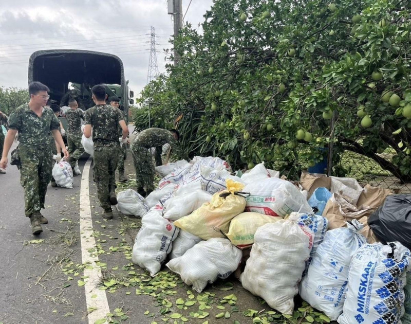 第4作戰區國軍官兵協助麻豆落果清運。   圖：國防部提供