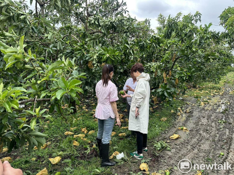丹娜絲颱風重創南台灣，尤其台南地區農漁損失慘重。陳亭妃呼籲中央政府，應比照過去蘇迪勒、梅姬與杜鵑等重大颱風災害，提供農業災後復建貸款「第一年免息」的政策，並從優從寬認定災損，協助受災戶早日重建家園。   圖：陳亭妃服務處提供