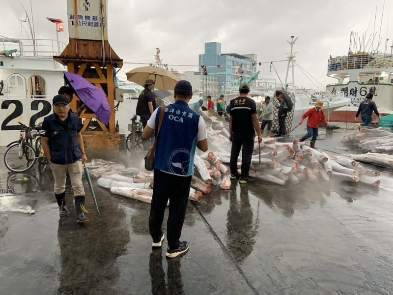 加拿大通報遠洋漁船涉獵殺保育類動物海豚，屏東地檢署跨機關共組專案小組調查，查獲田姓船長涉嫌指示漁工宰殺海豚，訊後諭知新台幣40萬元交保。（屏東地檢署提供）中央社記者李卉婷傳真  114年7月14日   