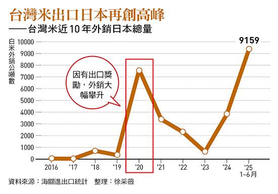 日本的糧食缺口，為優質台灣米帶來契機。光是今年上半年，台灣就對日本出口9,159公噸白米，創下歷史新高，是2024年全年的2.5倍；日本躍升為台灣米最大出口國。   圖：今週刊 提供