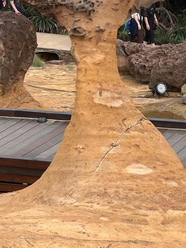 女王頭頸圍31年縮逾百公分，有網友曝光其近期裂痕引關注，北觀處稱為既有節理，將持續監控。   圖：翻攝自threads