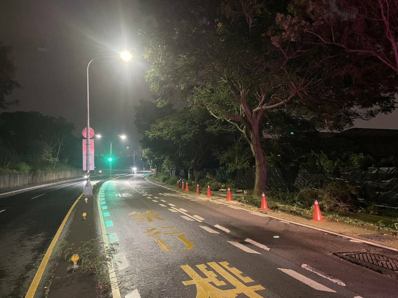 台中西屯路樹深夜倒塌,機車女騎士遭壓傷。 圖/台中市警察局第六分局提供