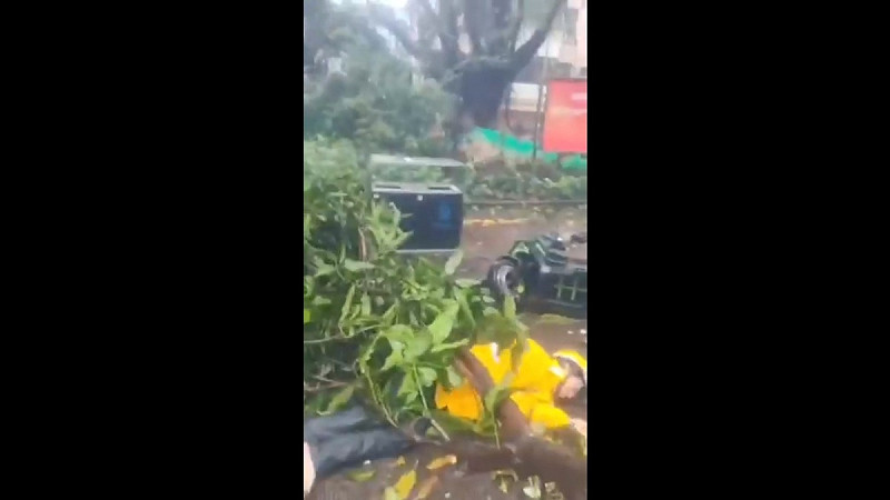 一名深圳外送員在颱風天出門送餐意外遭路樹砸中,許多網友也針對颱風天外送一事展開激烈的討論。 圖:擷取自 @DWZD333 X 分享影片