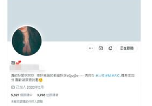 「台版紅姐」在社群媒體自稱「三性」,並有超過40部激戰片在網路上流傳。 圖:取自X