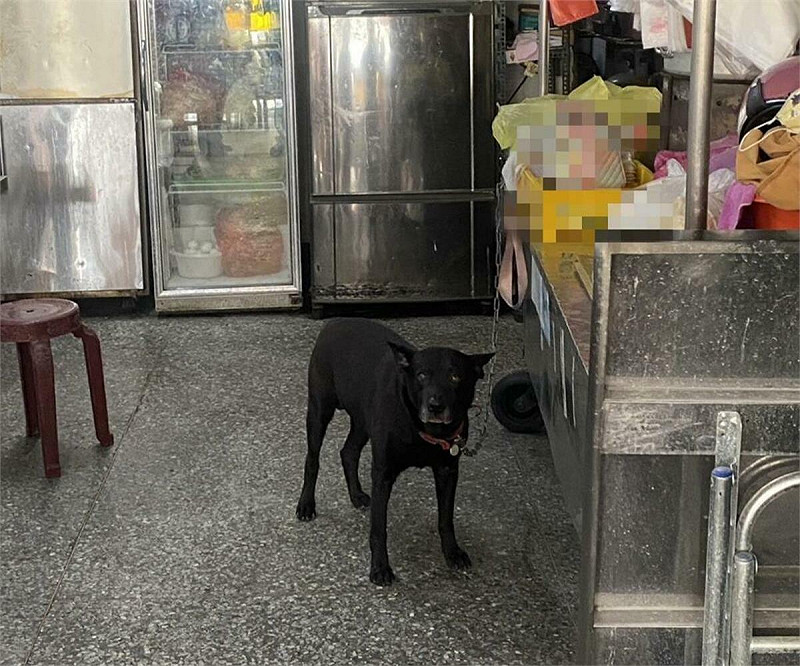 台中張姓騎士遭店家未繫繩黑狗咬傷，更糟飼主嗆「咬你是牠的自由」。   圖：民眾提供