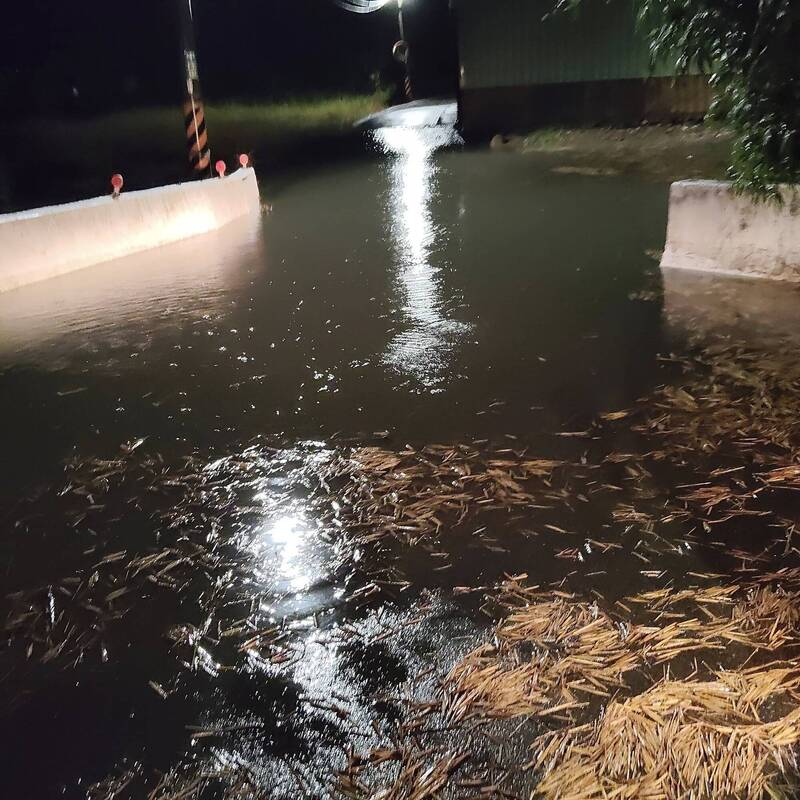 台中市今日凌晨起大雨傾盆而下，雷聲不斷，恰逢海水滿潮時段，導致大排排水不及，海水溢流至道路與民宅。多處稻田遭淹，稻草隨水飄流至路面。   圖：中庄里長莊明堯提供