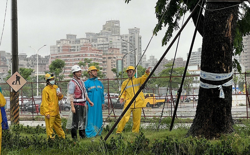 輕軌大順路段的雨豆樹群皆無傾倒、斷裂或鬆動等異常情形，樹體穩固、排水狀況亦屬穩定。   圖：高雄市捷運局/提供