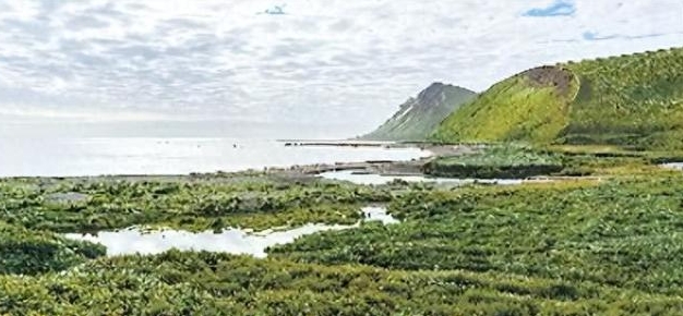 科曼多爾群島 。   圖 : 翻攝自新浪財經。