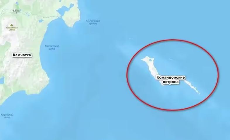 白令海科曼多爾群島地理位置圖。 圖 : 翻攝自網路