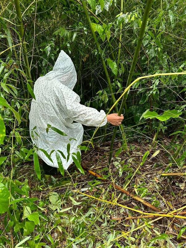 阿里山消防分隊與當地派出所員警、義消組成搜救隊，昨日持續搜尋至深夜未果，今日清晨7時再度集結展開地毯式搜索，並運用空拍機自空中擴大搜救範圍。   圖：嘉義縣消防局提供