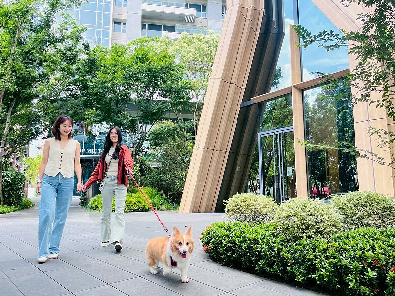 全國大飯店位於勤美草悟道旁,擁有天然遛狗步道與友善散步環境。 圖:全國大飯店/提供