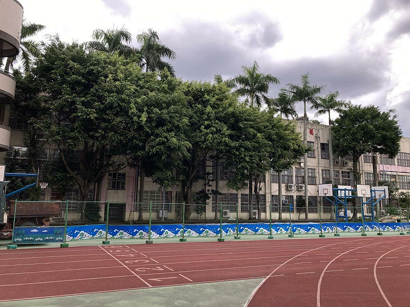 金華國中為了興建風雨操場，將移除有50年以上樹齡的一整排大樹，北市文化局表示，32棵樹均未達保護樹木標準，護樹團體指出，已向中研院調閱美軍空照圖，在評估老樹年齡及價值前，呼籲校方暫停移除作業。   圖：護樹民眾提供