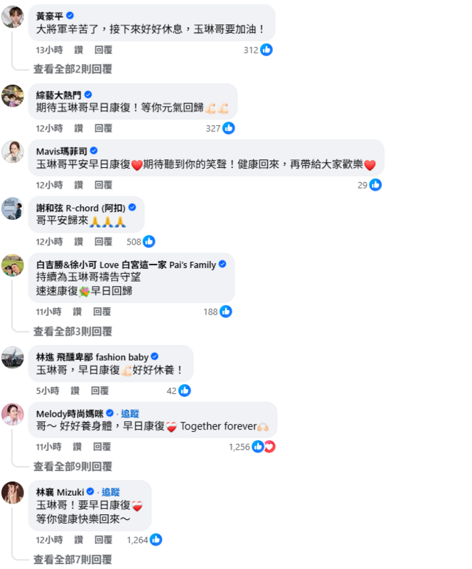 消息曝光後，許多網友及大咖明星，包含吳宗憲、謝和弦、利菁、林襄等，紛紛湧入沈玉琳的社群平台，祝福他早日康復。   圖：翻攝自沈玉琳FB