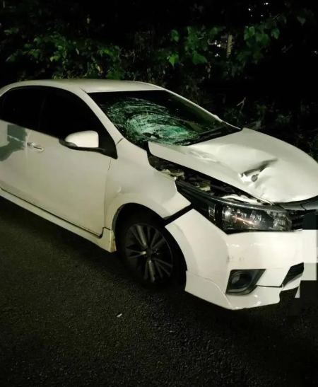 衝擊力道使肇事車輛引擎蓋凹陷、擋風玻璃碎裂，而何姓婦人，頭部跟四肢都受到重創，當場就沒有呼吸心跳，緊急送醫院搶救後仍宣告不治。   圖：警方提供