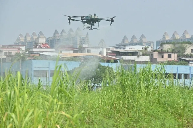 廣州市用無人機灑藥滅蚊 。 圖 : 翻攝自廣州新聞