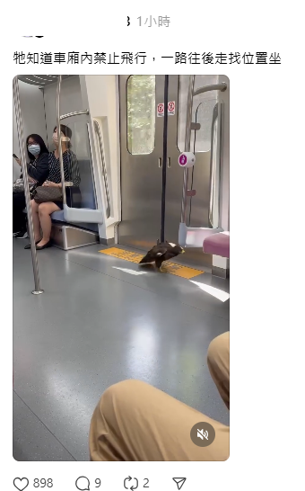 也有網友分享該老鷹剛上車走在路面的樣子稱「牠知道車廂內禁止飛行，一路往後走找位置坐」，模樣相當可愛。   圖：取自Threads