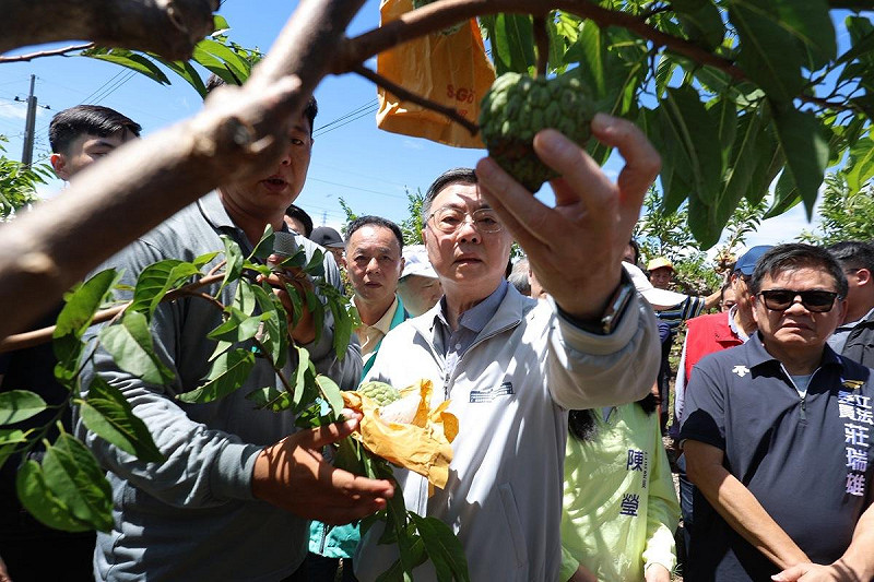  行政院長卓榮泰今（16）日前往勘災，視察台東縣卑南鄉大目釋迦農損情形。 圖：行政院提供 