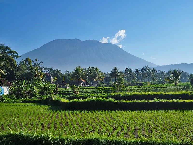 沉睡50年的印尼峇里島阿貢火山近期活動加劇，有可能大規模爆發。   圖：翻攝維基百科