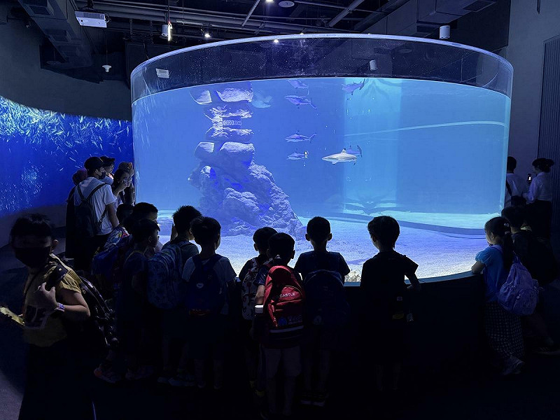 全台首創360度全透明「鯊魚虛實展示缸」。   圖：台中市政府/提供