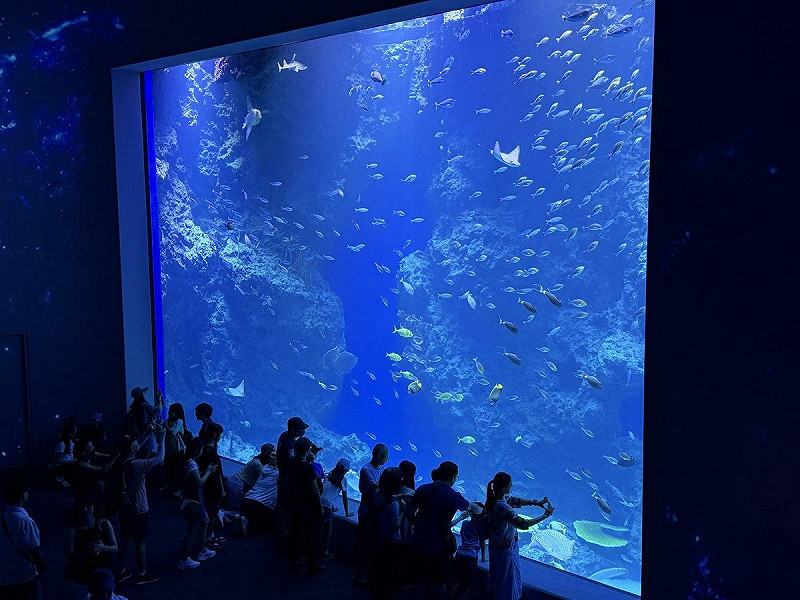 館內幾乎全面採取「開放式缸體」，遊客能更清晰觀察海洋生物。   圖：台中市政府/提供