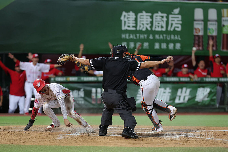 中華職棒味全龍隊26日例行賽與統一獅隊打到延長賽才分勝負,10局下,龍隊張政禹(前左)靠著隊友安打成功回本壘得分、助隊以2比1搶勝,他在看見Safe手勢後振奮吶喊。中央社記者翁睿坤攝 114年8月26日