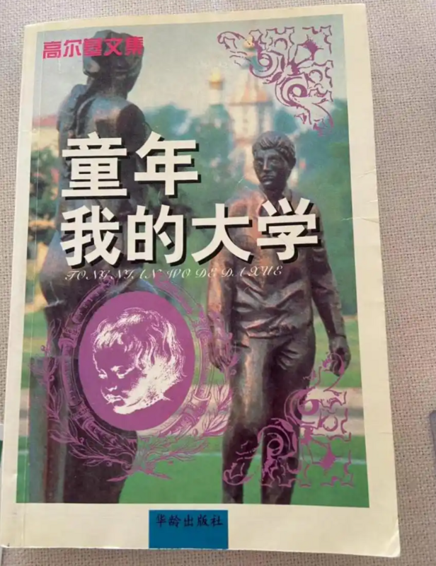 夾著舊券的書本《童年》。 圖:翻攝自九派新聞
